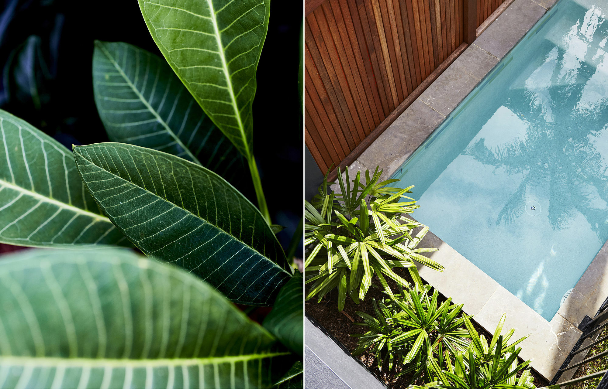 Отель 28 Degrees Byron Bay - Adults Only Экстерьер фото